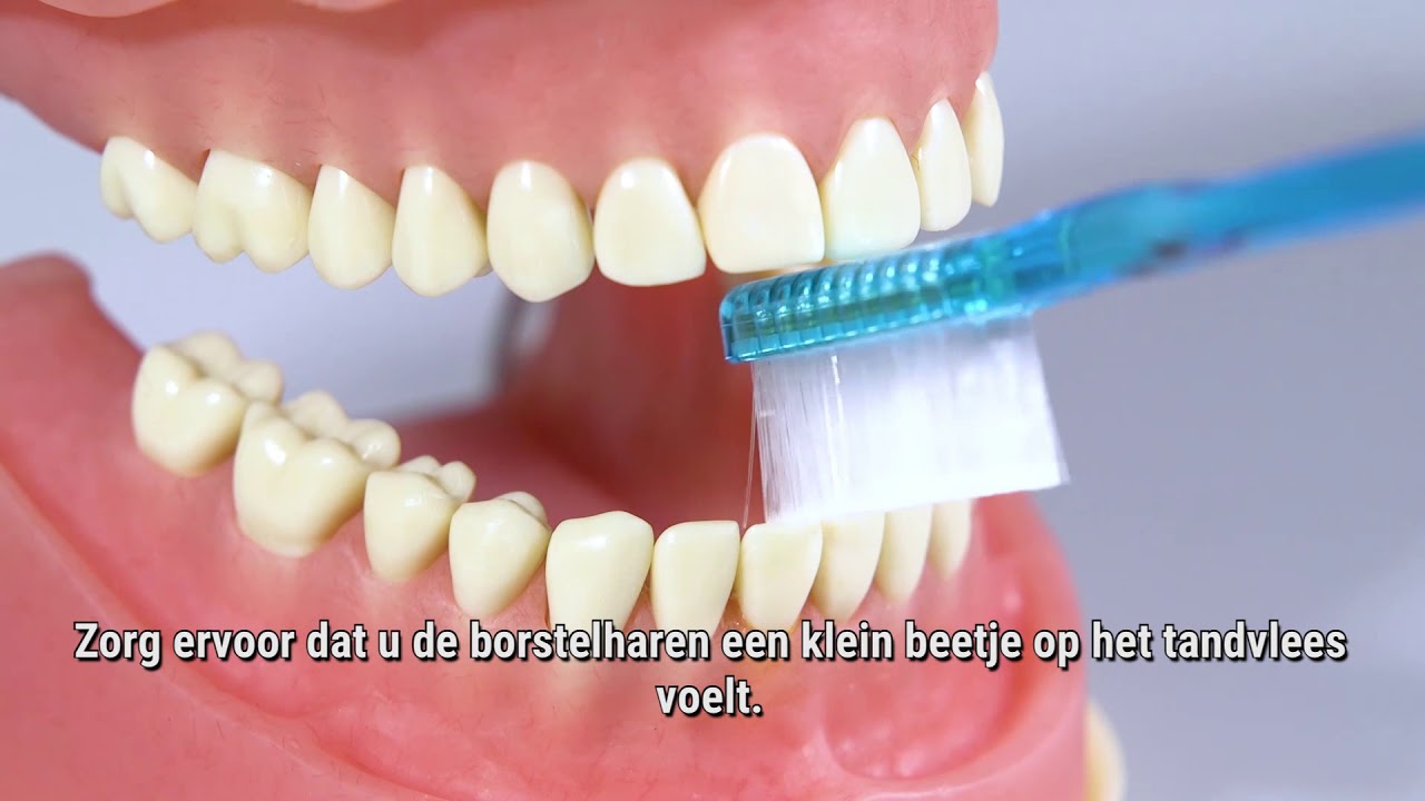 Paro Praktijk Utrecht Instructie Hand Tandenborstel