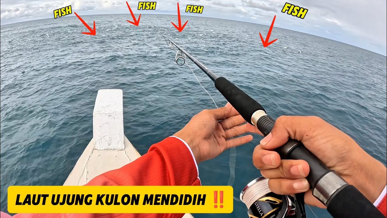 CASTING PARADISE UJUNG KULON || KM.OMEGA INDAH