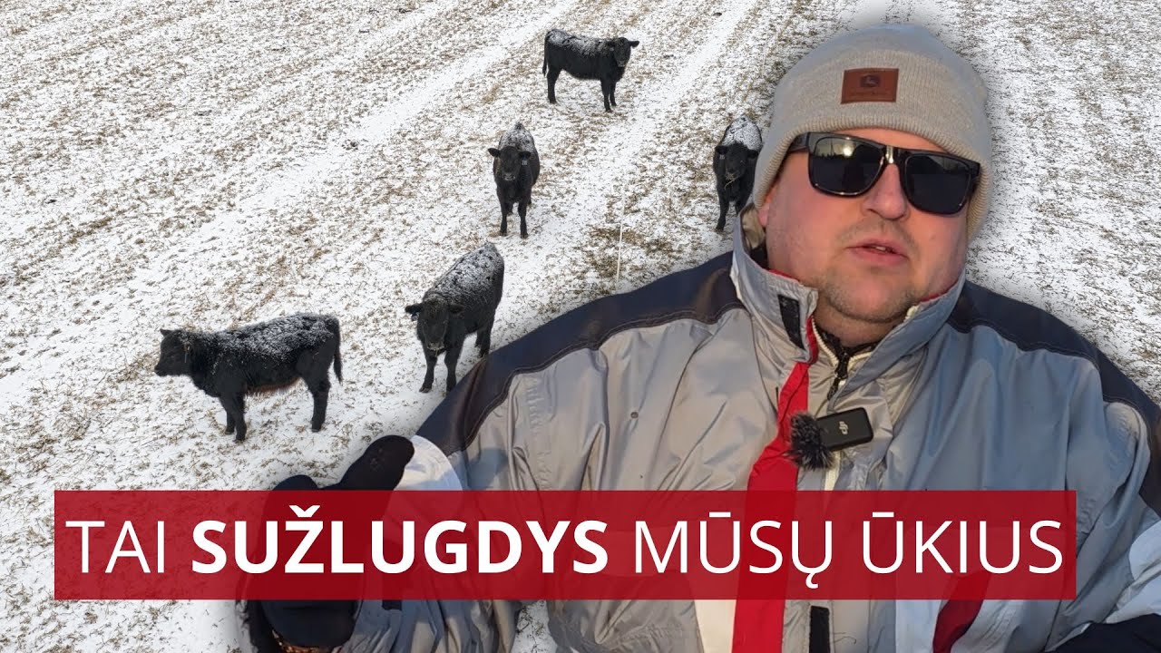 Tai pražudys mūsų ūkius. Ūkininkai apie ES–Mercosur sutartį