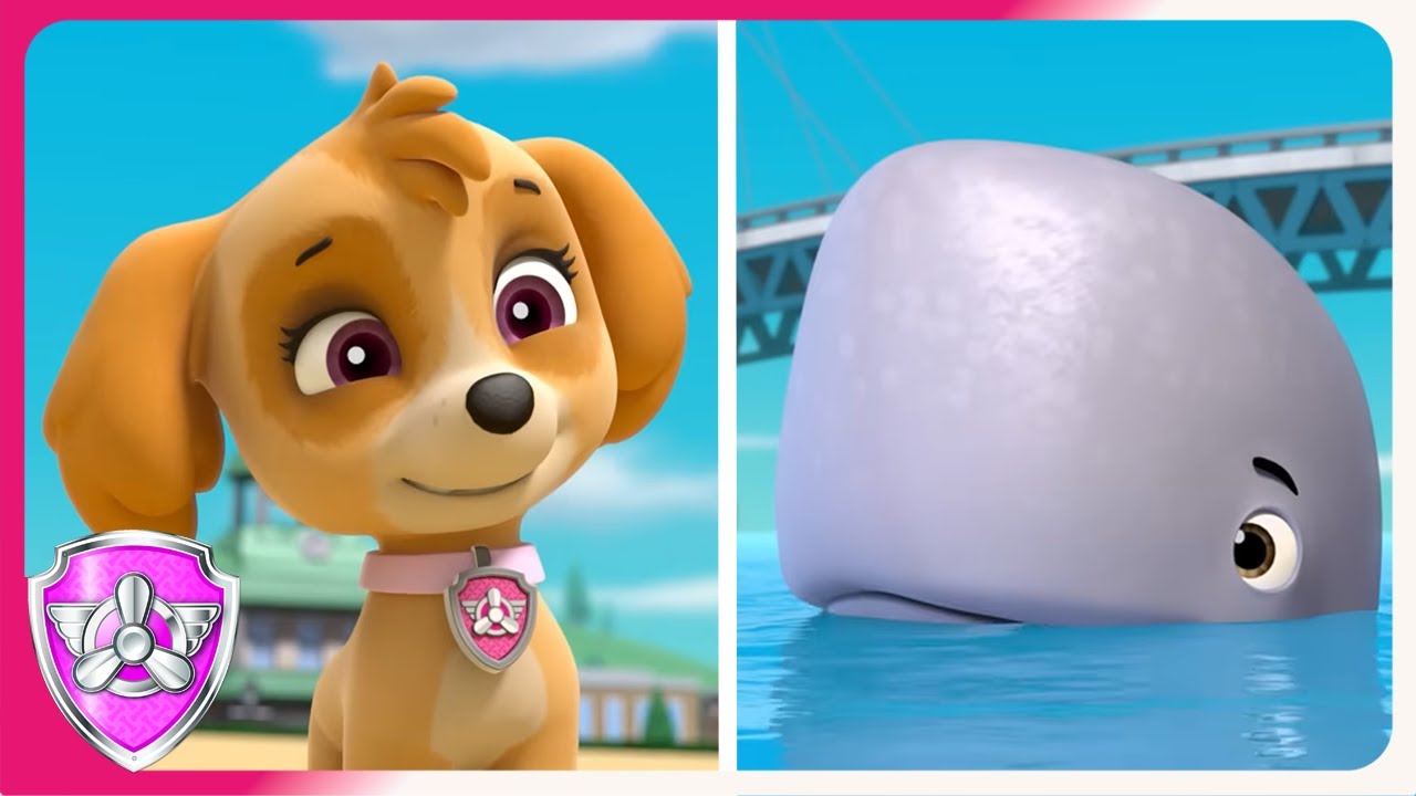 Baby Whale Playtime | Skye PAW Patrol | Cartoons for Kids