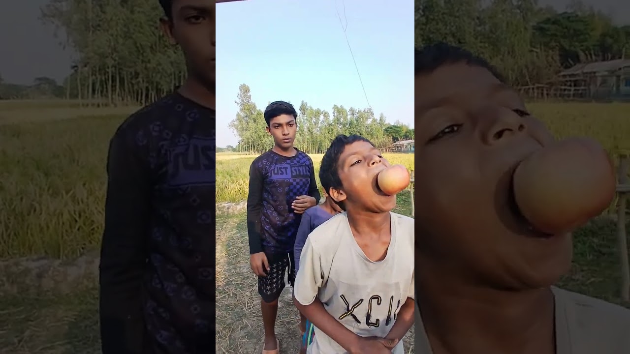 দৌড়ে বল একত্র করা ! villages games