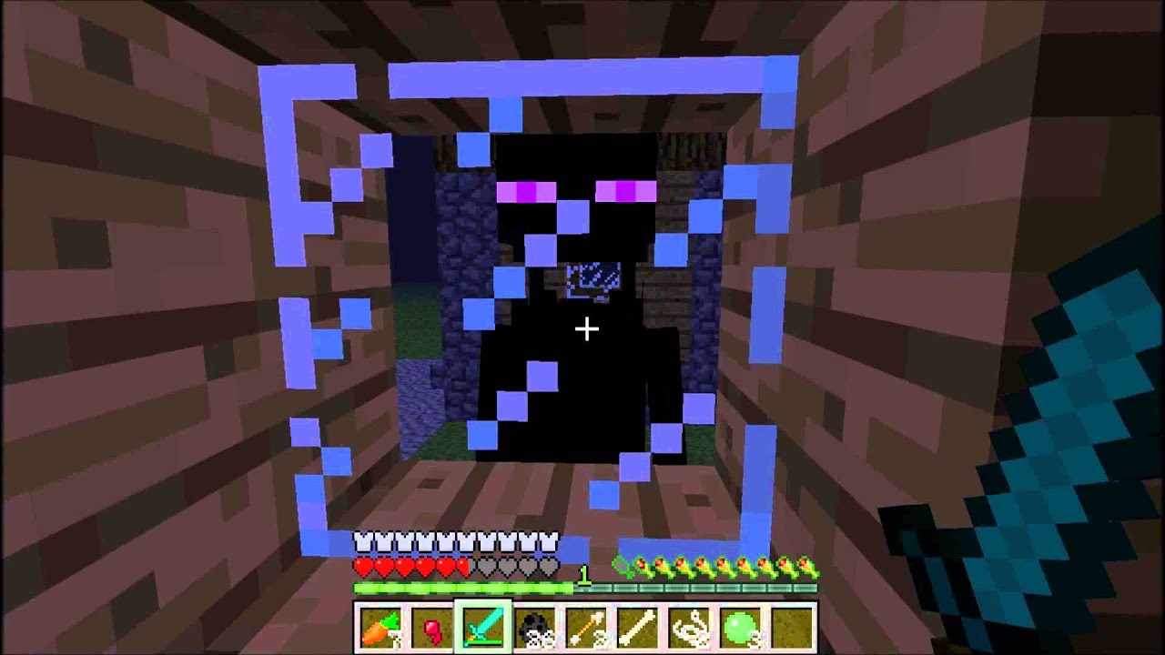 MineCraft - I Don't Like Enderman