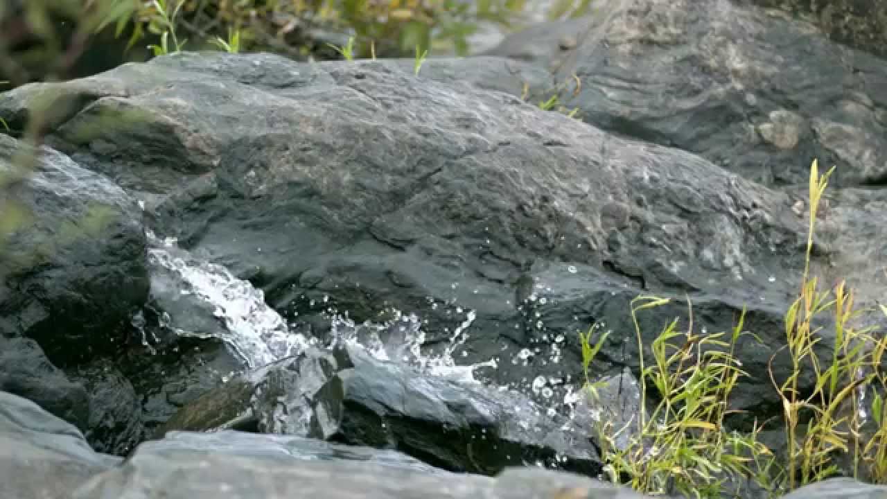 Connectivity - The Restoration of 40 Mile Creek