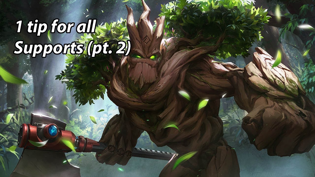 1 tip for ALL supports in paladins (Pt.2)