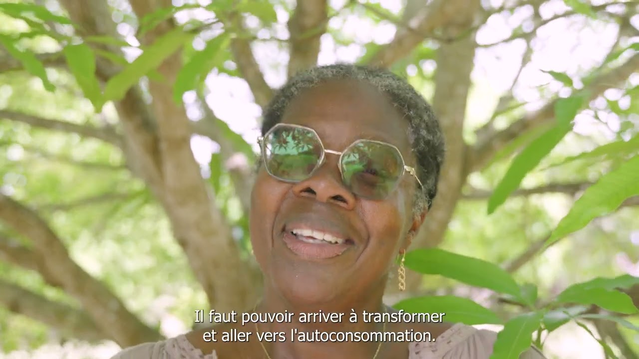 Valoriser la diversité des mangues et des ignames en Guadeloupe