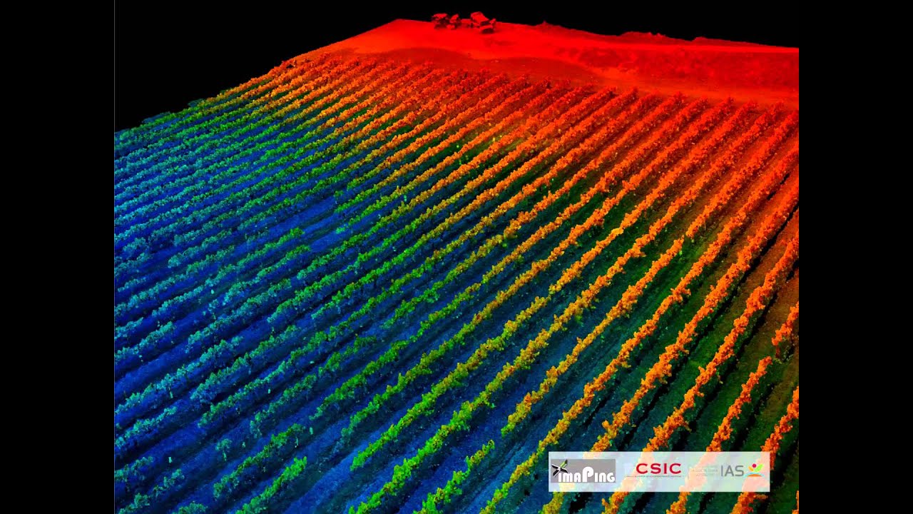 3D Modelling of a Vineyard with UAV