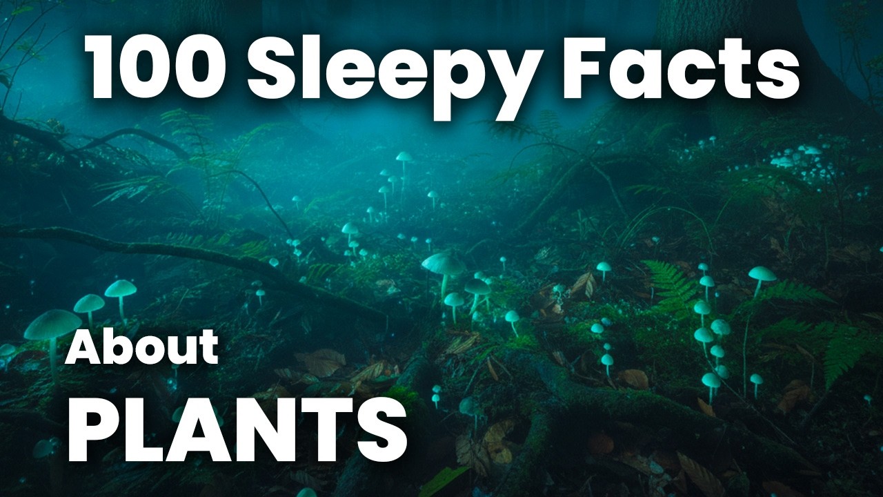 What If Plants Are Smarter Than We Think? - Science for Sleep
