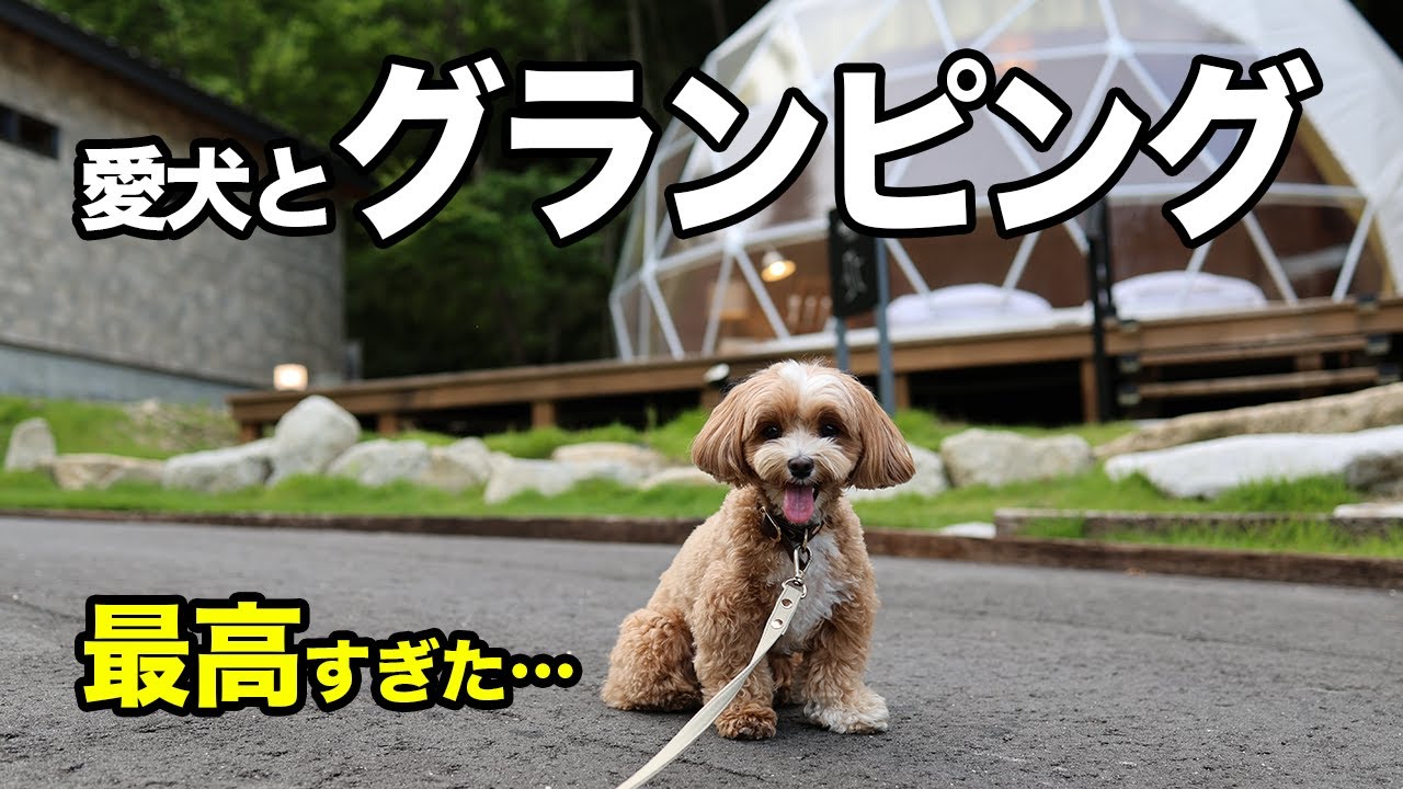 愛犬と本格グランピングに行ったら最高すぎた