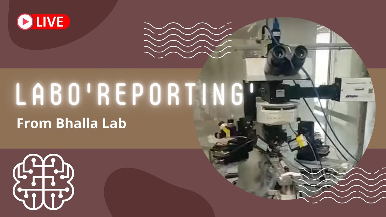 Labo'reporting': Live from NCBS Labs - Brain Awareness Week Special | Live from Bhalla lab