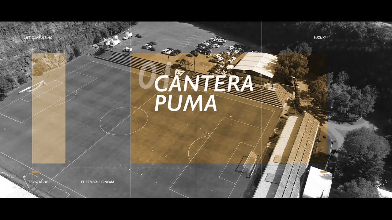 CANTERA PUMA Y SUZUKI
