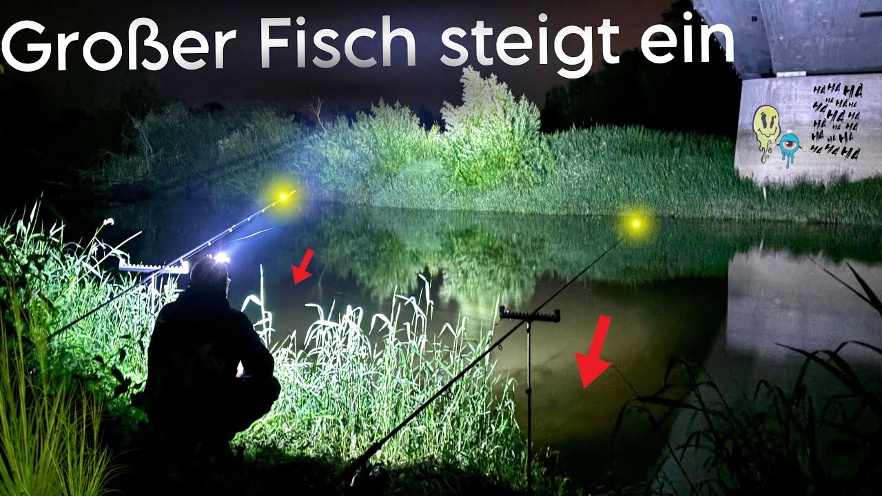 Aal angeln im Fluss