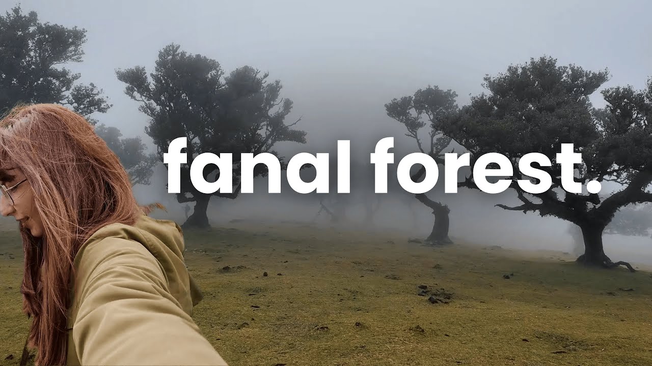 Fanal Forest Like You’ve Never Seen It Before ☁️ Madeira Island