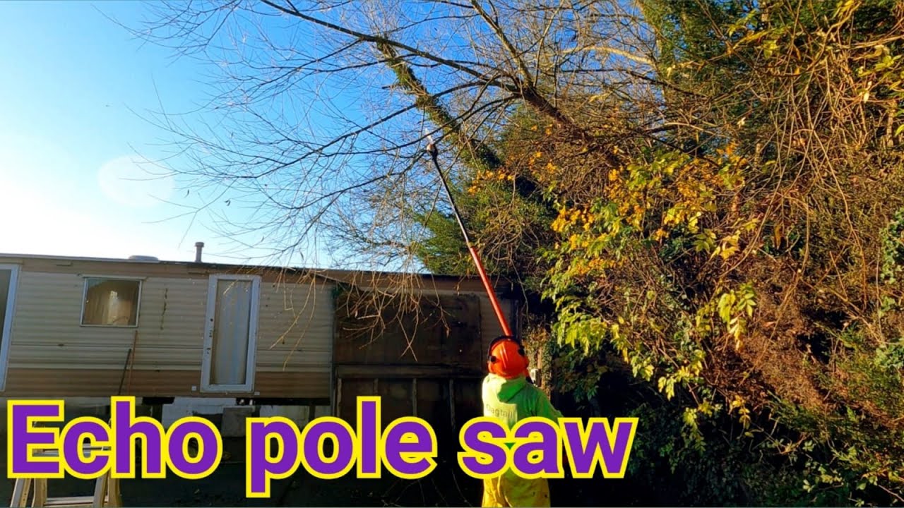 Using a Echo pole saw