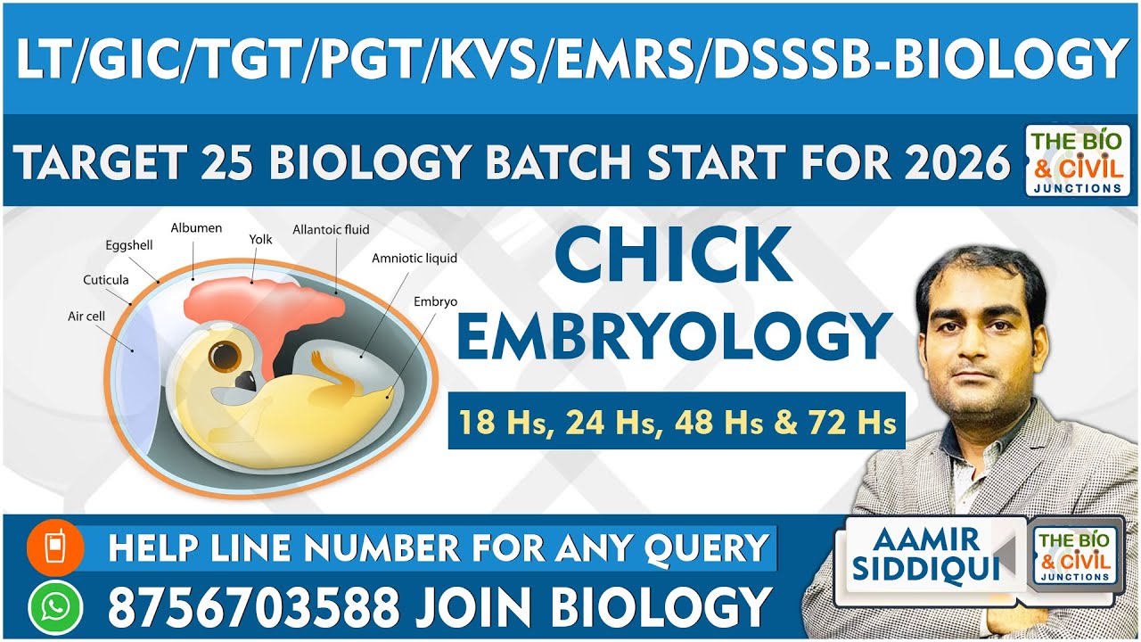 #LT_GIC_TGT_PGT_KVS_NVS_EMRS_DSSSB_BIOLOGY || CHICK EMBRYOLOGY || By- Aamir Sir || THE BIO JUNCTION