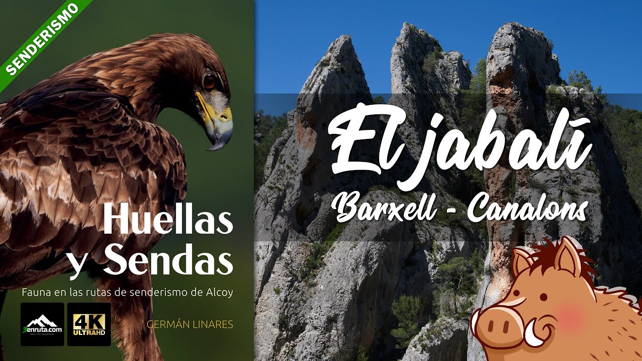 Ruta de senderismo en Alcoy  - Barxell - Canalons - Huellas y Sendas Cap.1: El jabal&iacute;