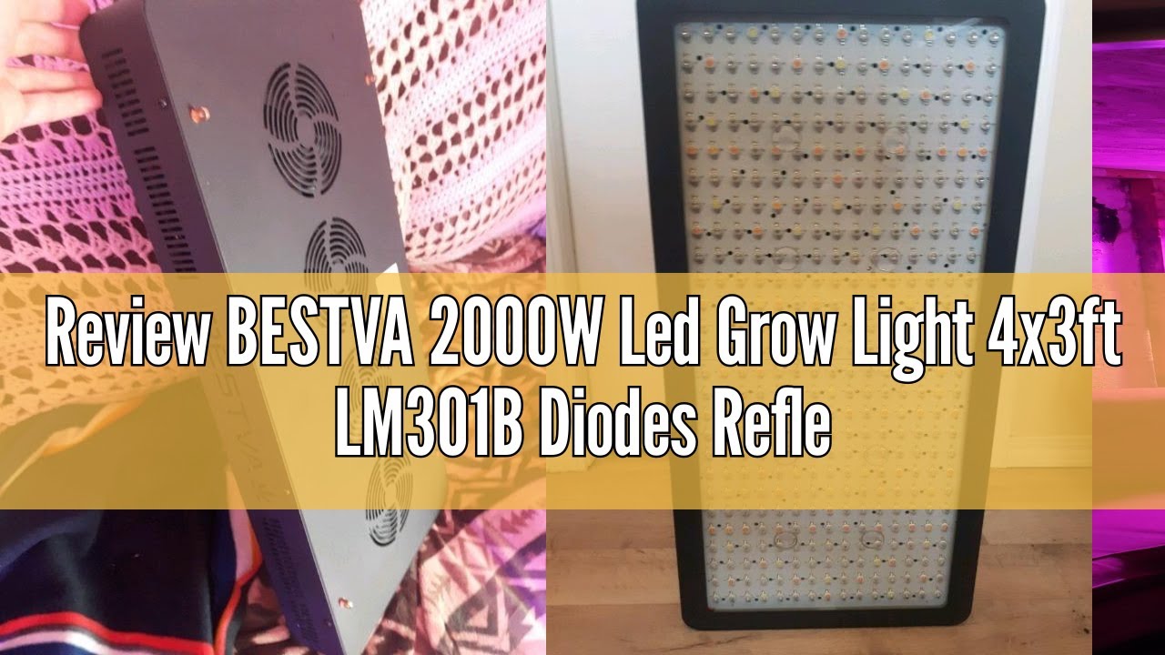 Review BESTVA 2000W Led Grow Light 4x3ft LM301B Diodes Reflector Full Spectrum LED Growing Lights fo