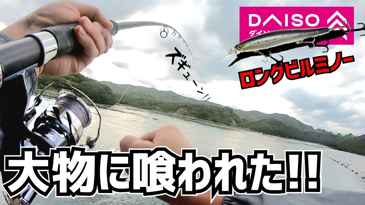 ロングビルミノーVSブリクラス…その結果 #DAISO #似セットアッパー