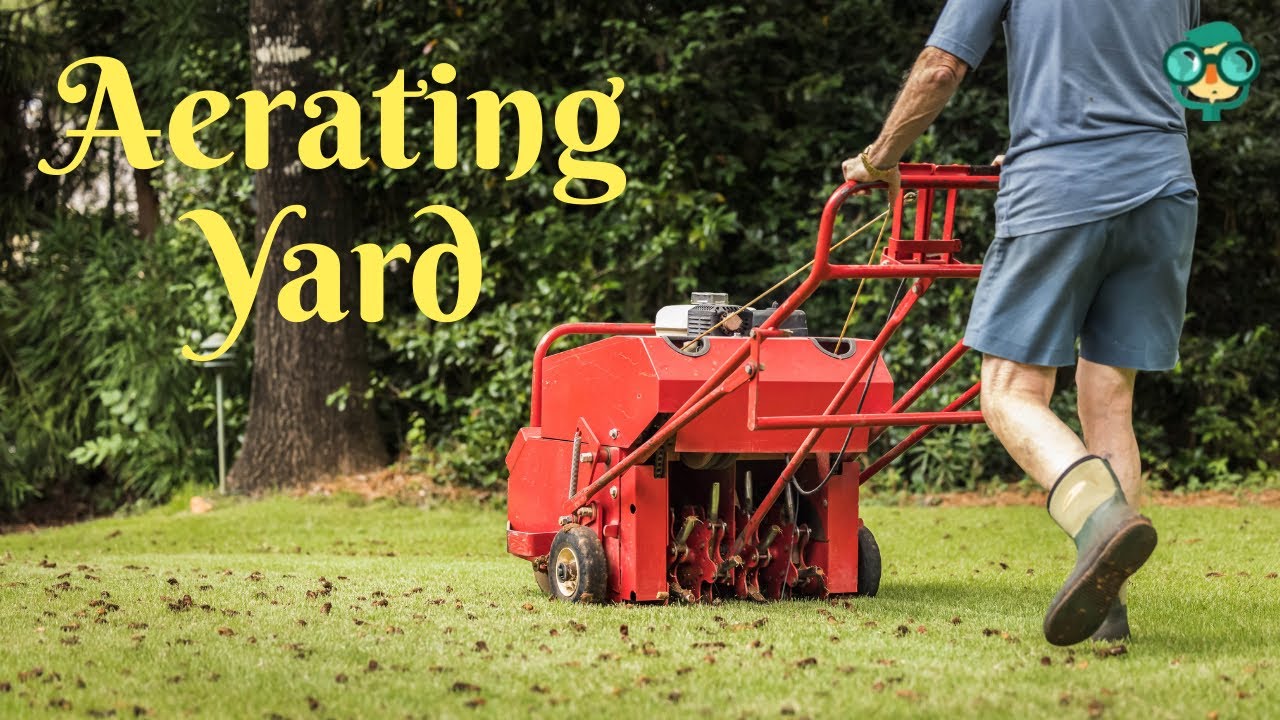 How to Aerate a Yard? How to Aerate Lawn? How to Do Lawn Aeration? How to Aerate Your Yard?