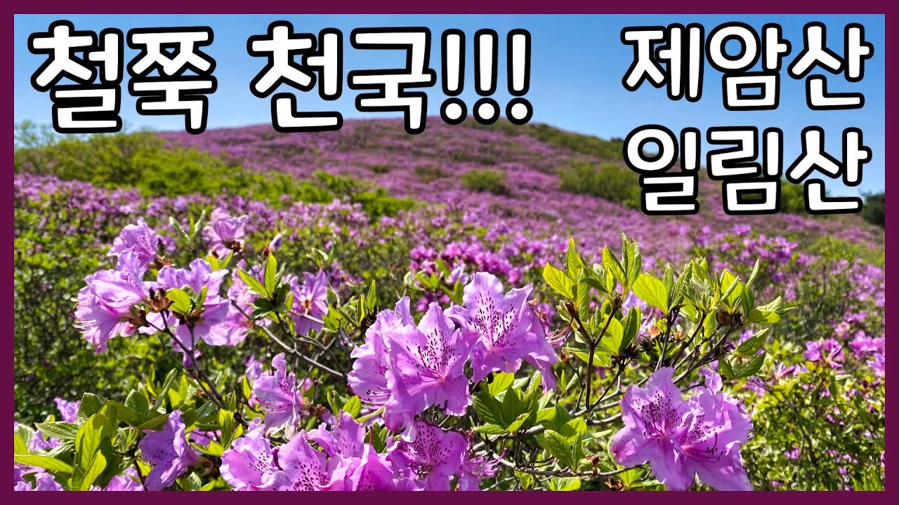 제암산, 사자봉, 일림산 종주 등산 가이드