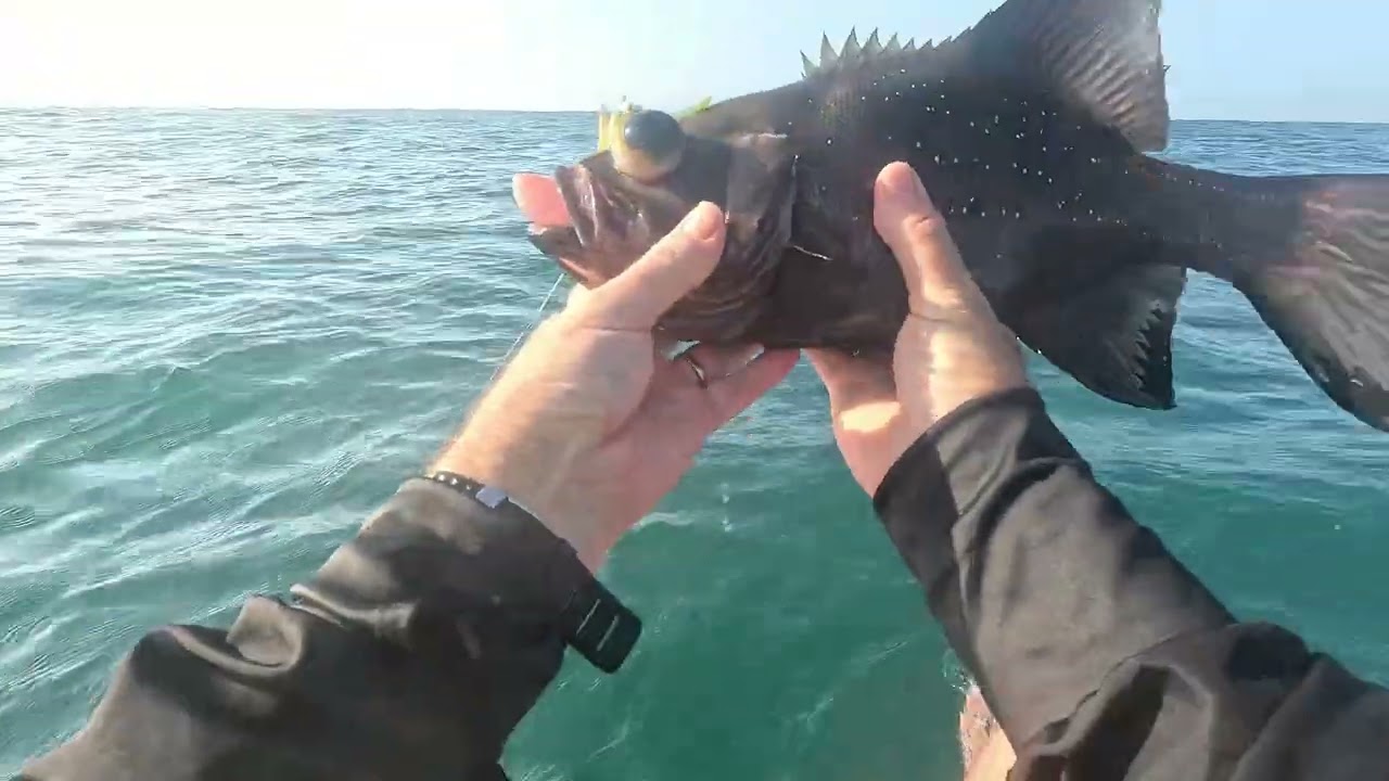 Kayak fishing KZN North coast, GT and Kob