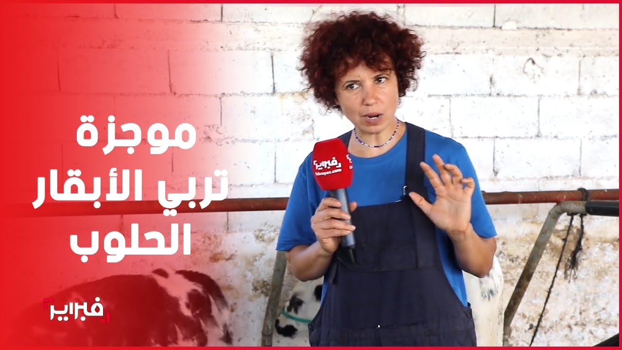عيد المرأة/البقرة 