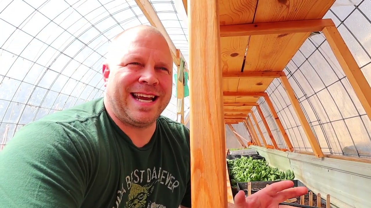 Cattle Panel Greenhouse update early Spring in Minnesota Zone 4B Hoop House