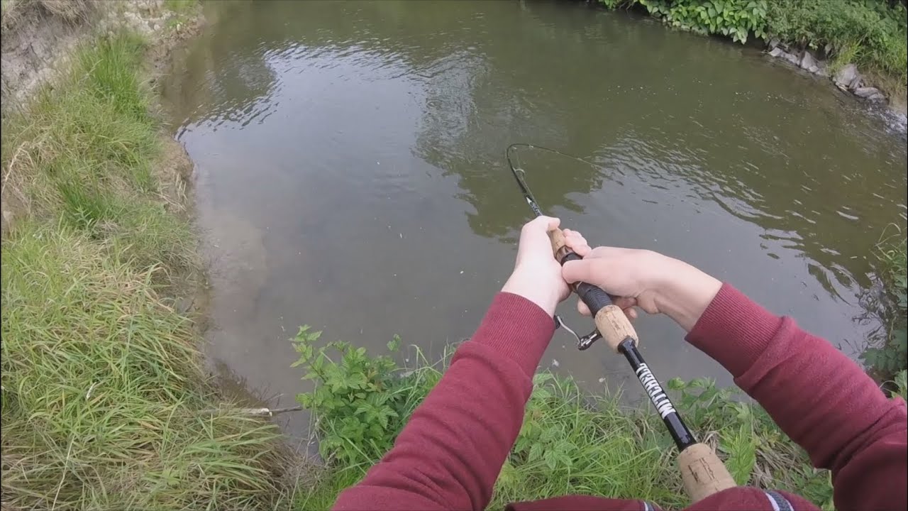 Angeln am Bach - Mit Wurm auf Döbel - Allroundangler52