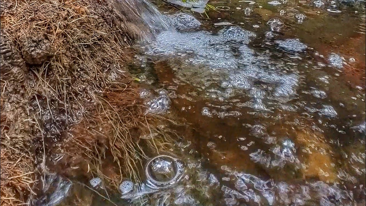 A Quiet Forest Stream for Restless Night | 1 Hour Sleep Ambience
