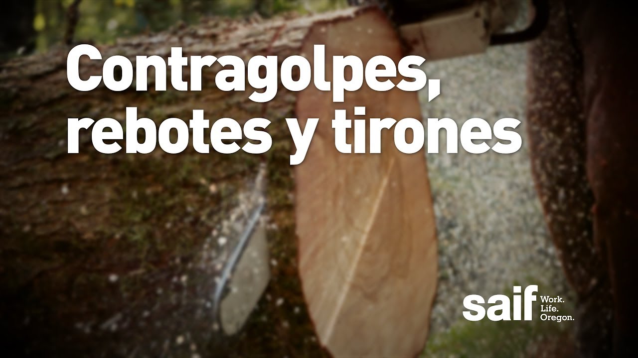 Seguridad de motosierras: Contragolpes, rebotes y tirones