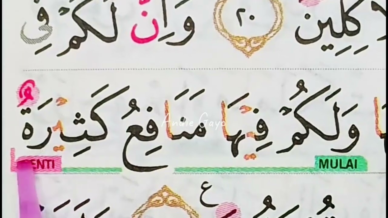 Siapapun Bisa Ikutan Kalo Bacaannya Seperti Ini, Apalagi Masih Pemula, Auto Mahir | Qs.Al-Mu'minun