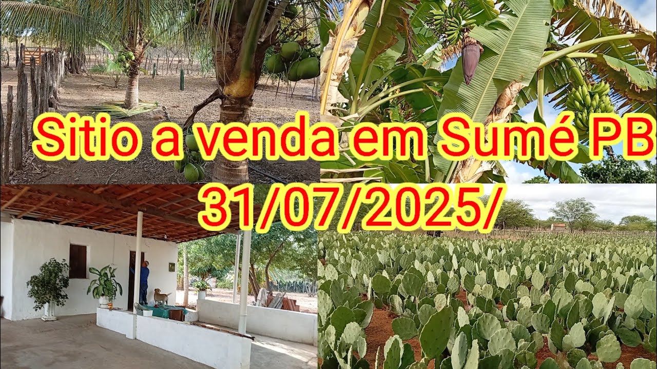 Terreno a venda no Sítio agreste Sumé PB 31/07/2025 ##você 83 999412141