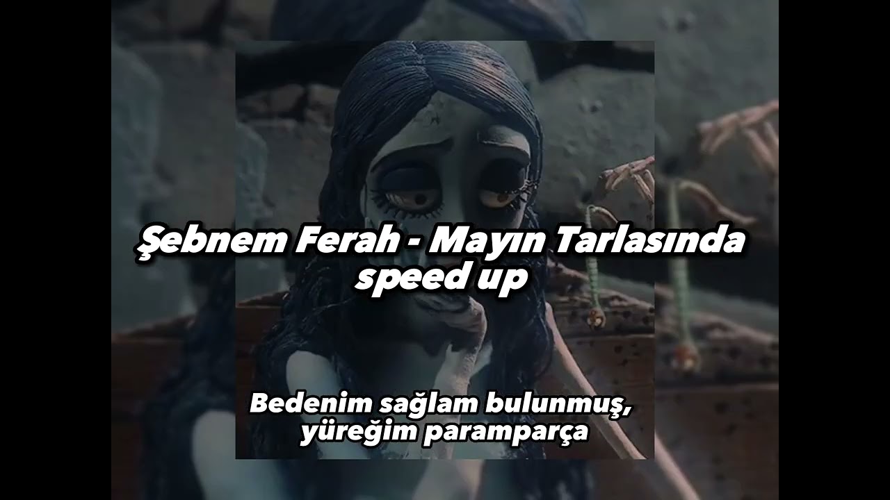 Şebnem Ferah - Mayın Tarlasında Speed Up | Sözleri