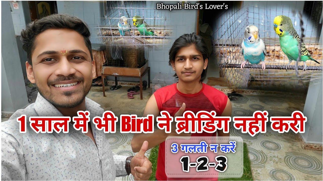 inke yaha 1 saal 😱 me bhi breeding nahi hui kyun #breedingsetup