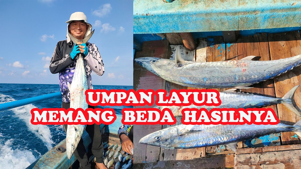 SEGEDE INI TENGGIRI NYA KALO MANCING PAKE UMPAN LAYUR - SPOT KARANG UTARA PULAU SERIBU