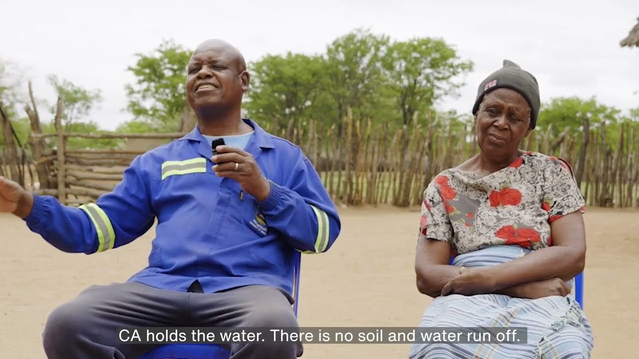Farmers helping farmers in Zimbabwe | MCC