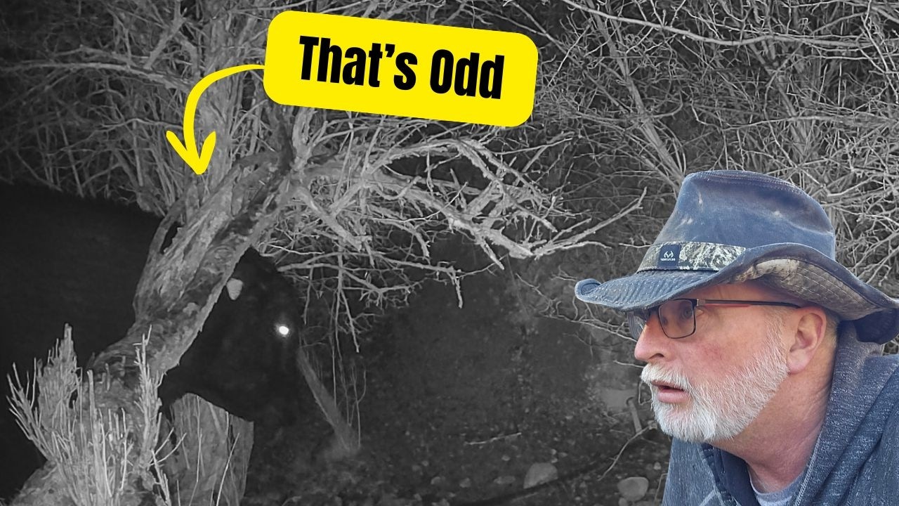 Why Cant I Find the Animals: TC22 Wildlife Trailcam Voopeak