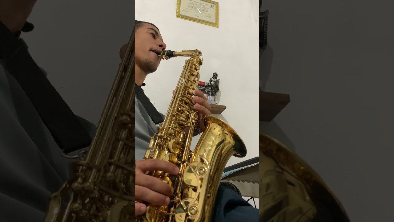 My Heart Will Go On - Sax Alto