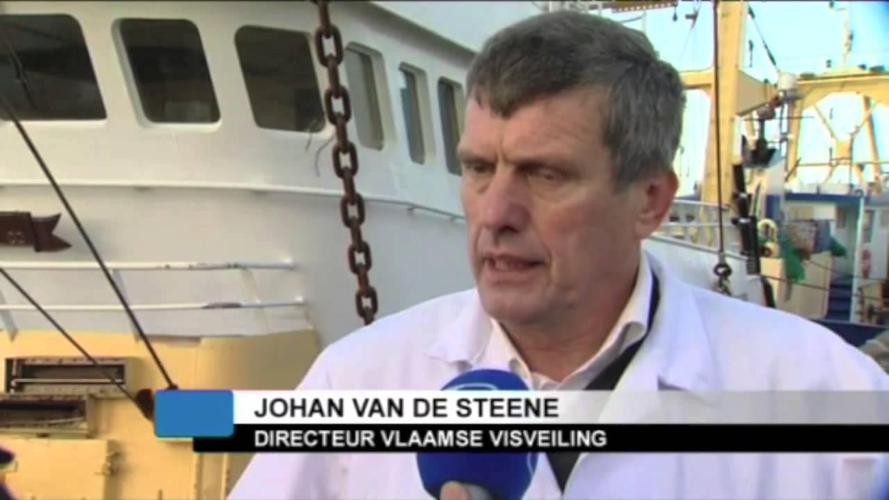 Leugens en kronkels over de Oostendse vismijn