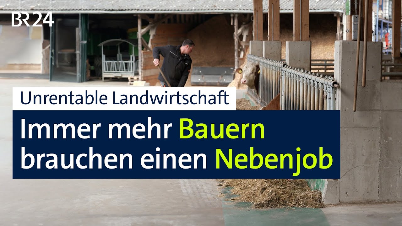 Landwirtschaft: Immer mehr Bauern mit Nebenjob | BR24