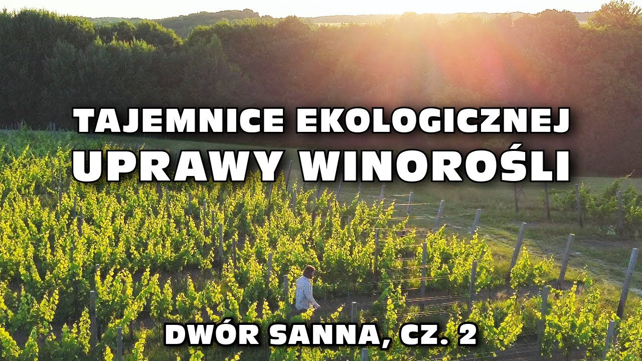 &bdquo;Tajemnice ekologicznej uprawy winorośli