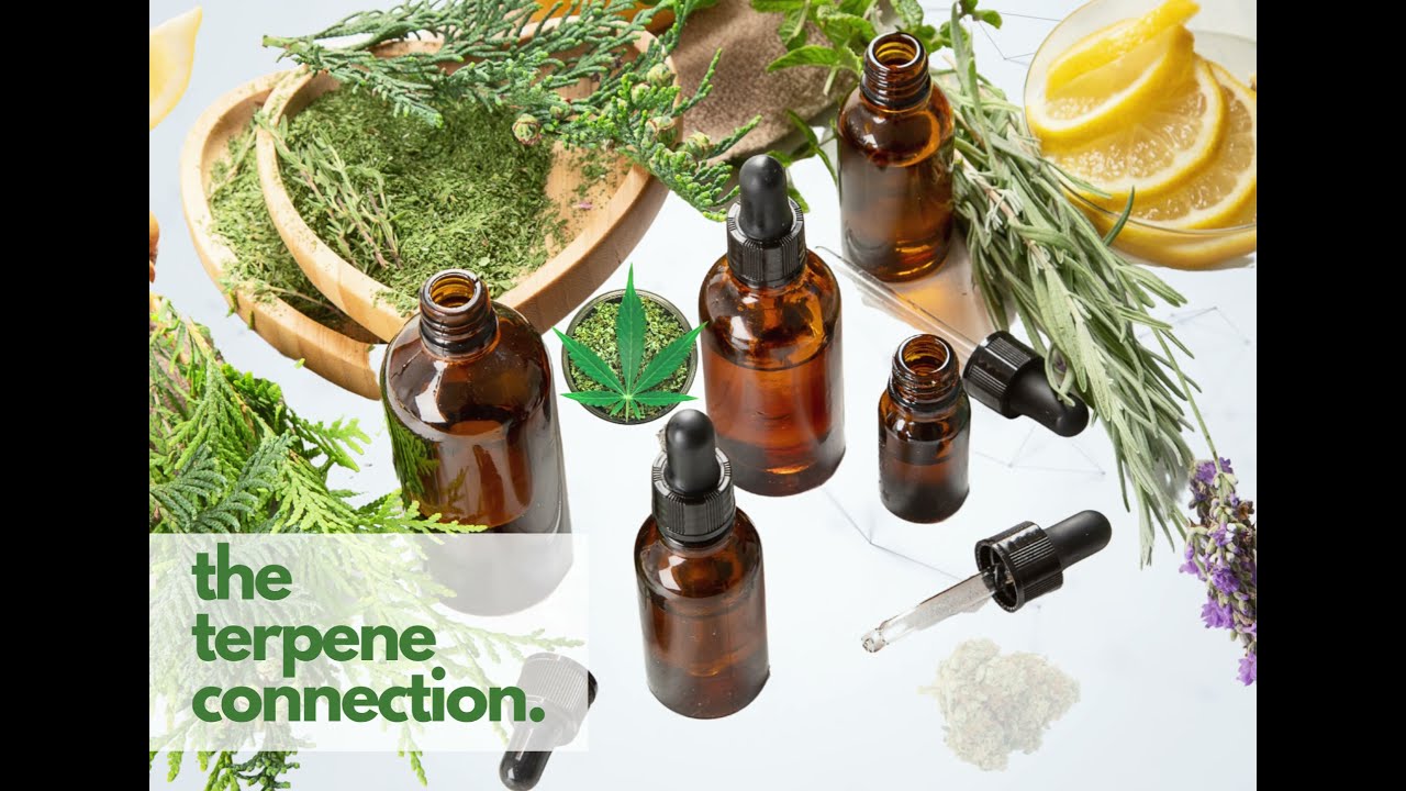 Terpene Connection Essential Oils & Cannabis