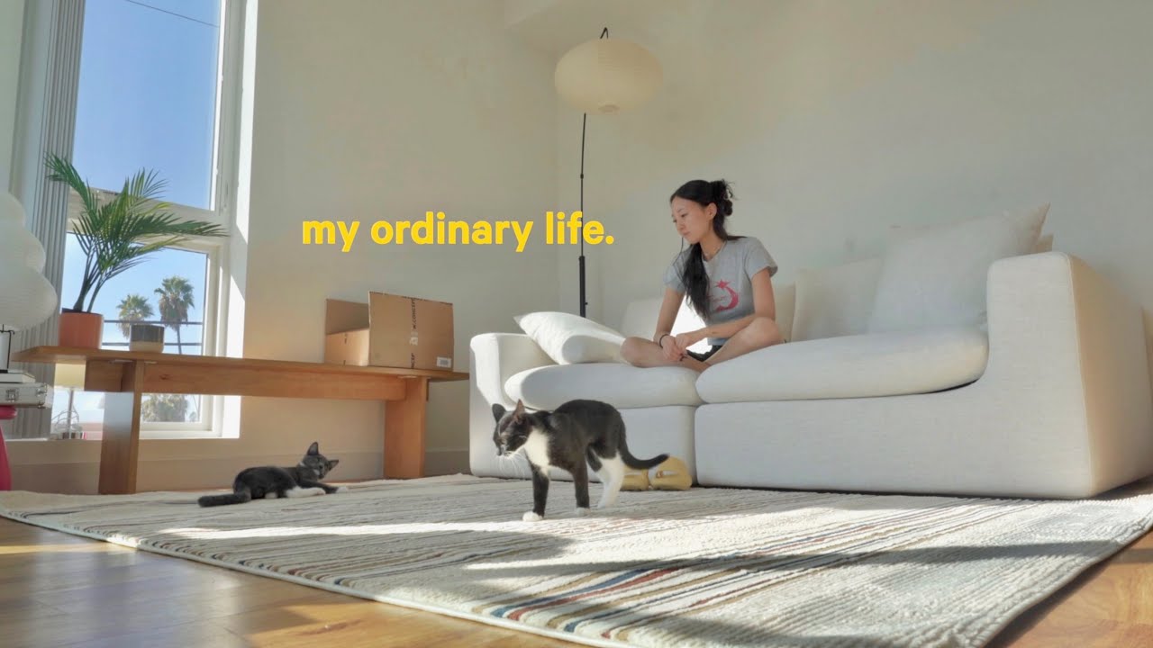 My Ordinary Life | New job, apartment things, drive thru chats
