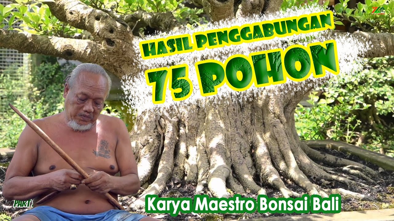 WOOOOWWWW 😶‍🌫️😶‍🌫️😶‍🌫️KARYANYA TAMPIL DI MAJALAH BONSAI FOKUS DI BELANDA || Bpk. Gede Merta