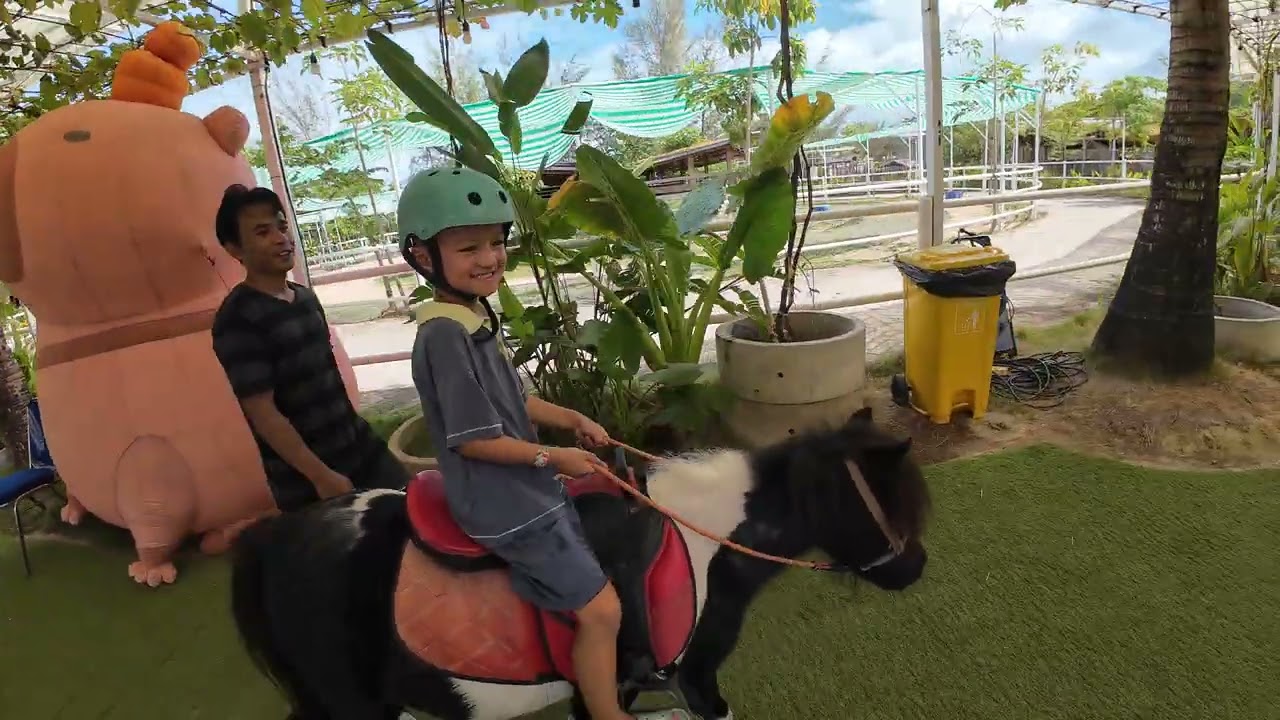 Batam Zoo Paradise Part Two Horse Riding