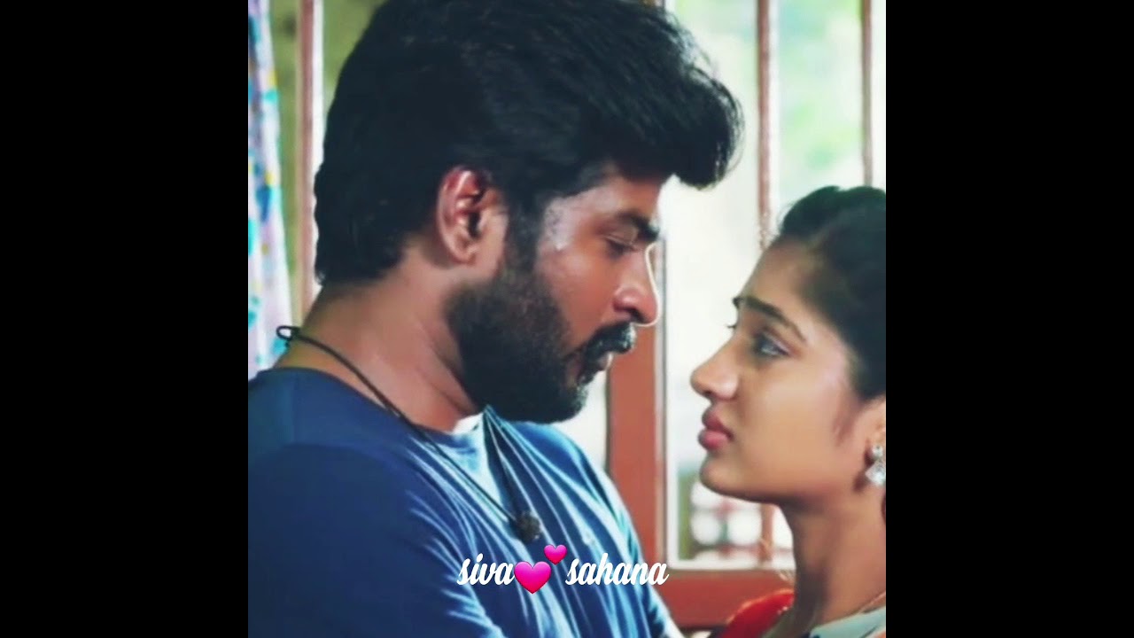 🎶❣உன் கூட நான் கூடி இருந்திட எனக்கு ஜென்மம் ஒன்னு போதுமா❣🎶 idhayathai thirudaathe serial S❤S status