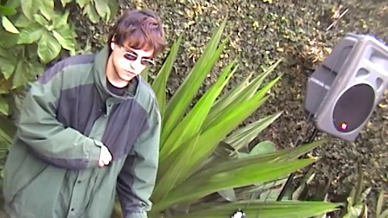 Super Chill Video Game Music DJ Set Next to a Big Plant