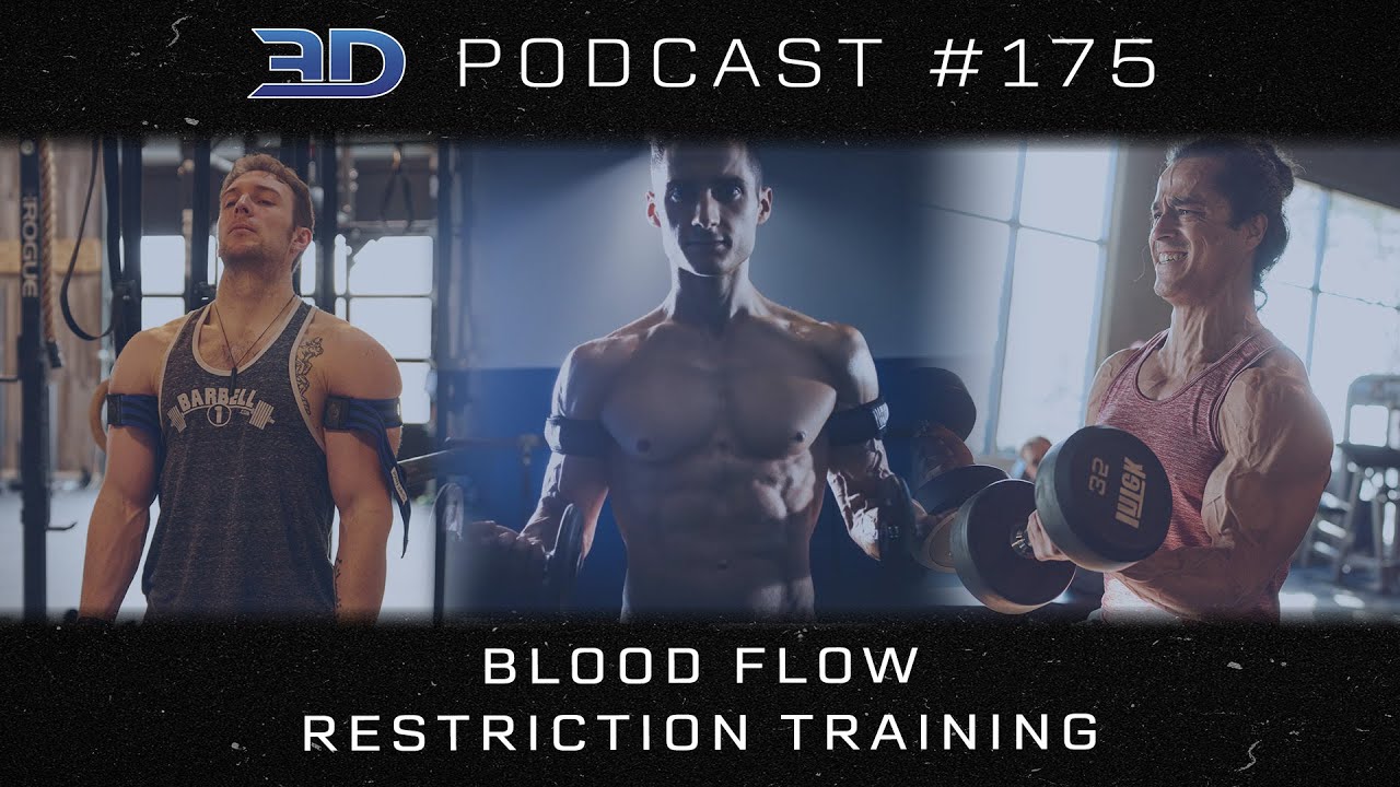 3DMJ Podcast 