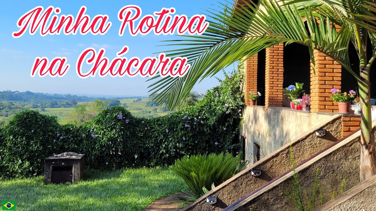 Minha Rotina | Vida lenta em casa rural, colhendo jabuticaba