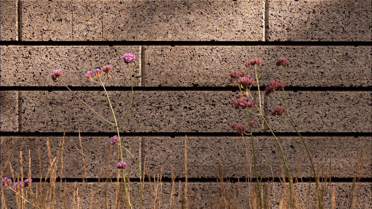 RIBA Stirling Prize 2019: Cork House