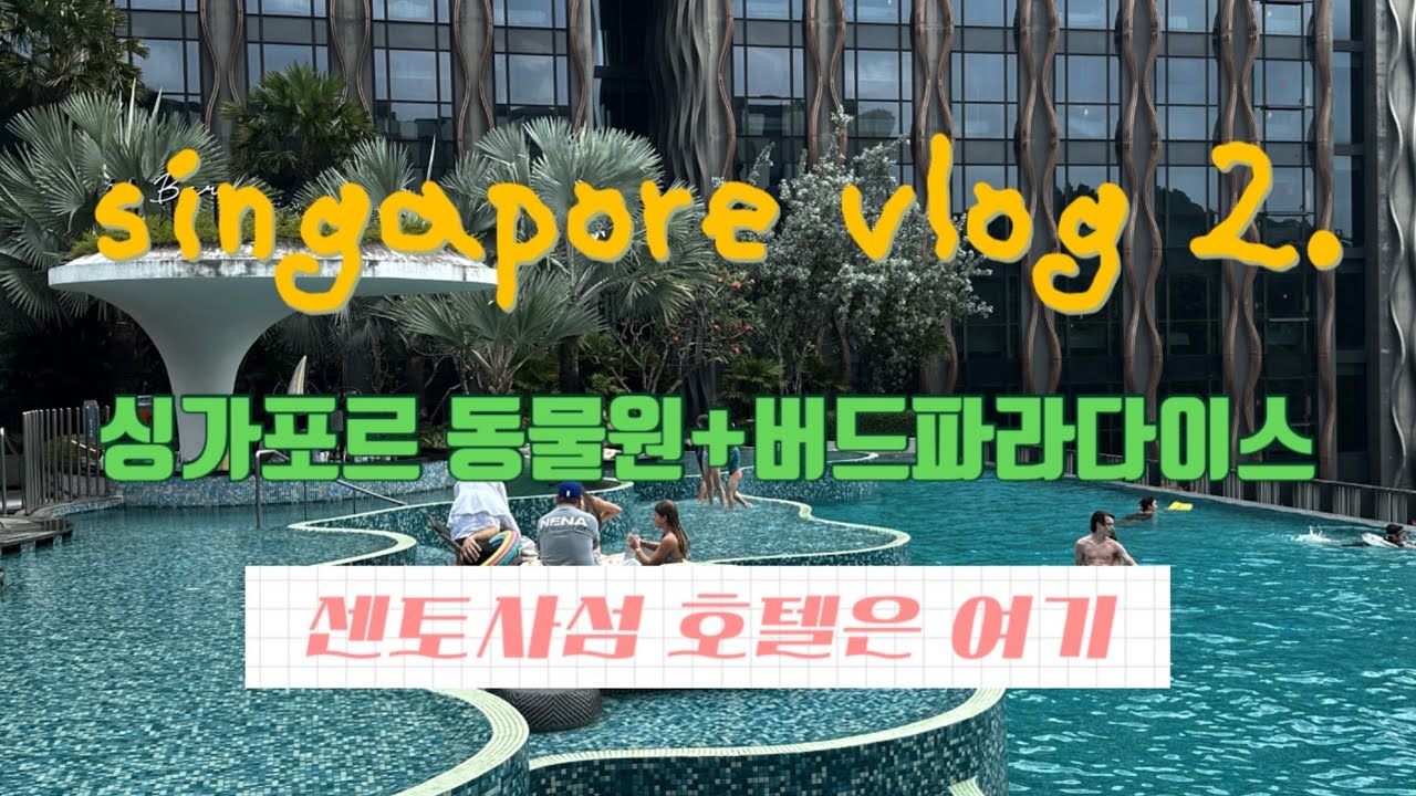 🇸🇬 (센토사섬 호텔은여기🤩)싱가포르 아이와 자유여행 | 버드파라다이스 |싱가포르동물원|센토사섬으로|센토사빌리지호텔추천|싱가포르 호텔추천 